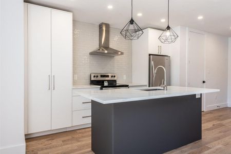 Condo for rent, Montréal (Le Plateau-Mont-Royal) - Photo 3