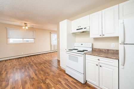 Pioneer Apartments - Photo 5