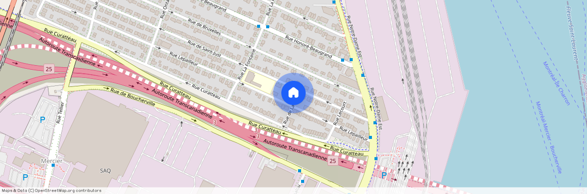 527 Lepailleur, Mercier-Hochelaga-Maisonneuve, Mercier-Hochelaga-Maisonneuve, Ile de Montréal, H1L 6M9