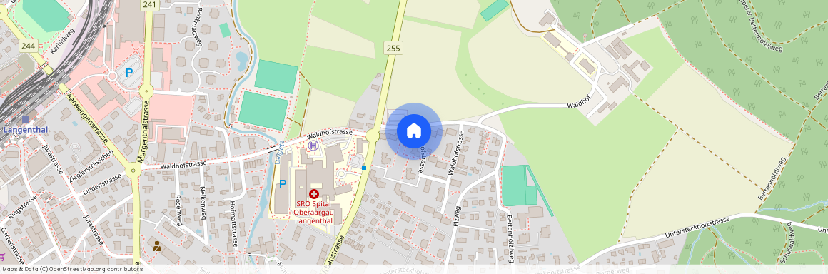 Waldhofstrasse 18, 4900 Langenthal