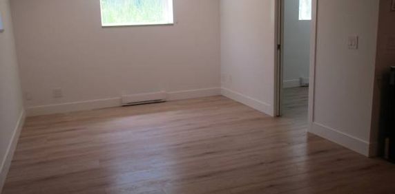 2bed 1bath BSMNT Suite - Available Now - Photo 2