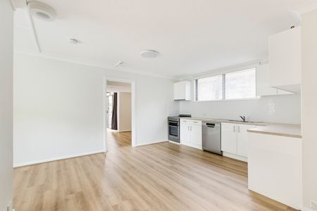 17/23 Reynolds Street, Balmain NSW 2041 - Apartment For Rent | Domain - Photo 2