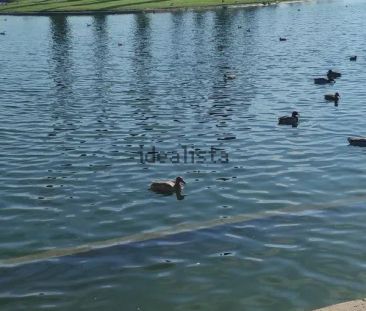 Alquiler de piso en Calle Turina, 4 - Photo 1