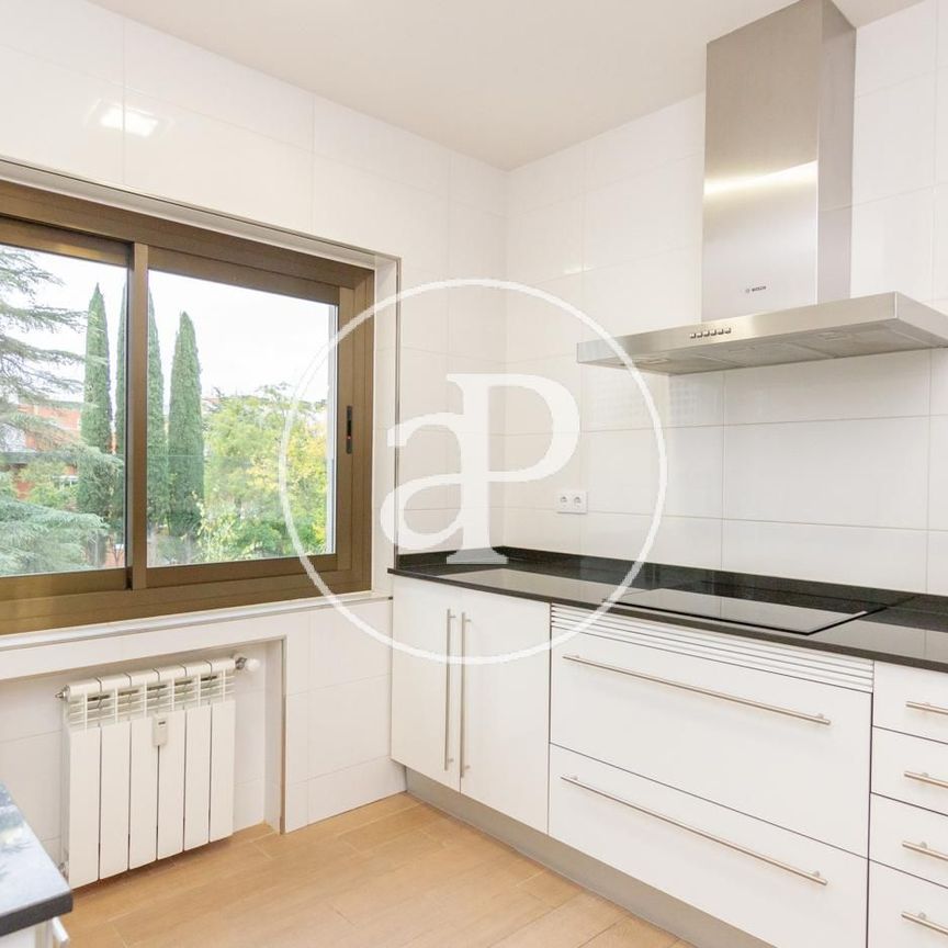 Flat for rent in Paseo de la Habana. - Photo 1