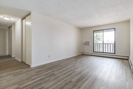 1 Bedroom - Photo 2