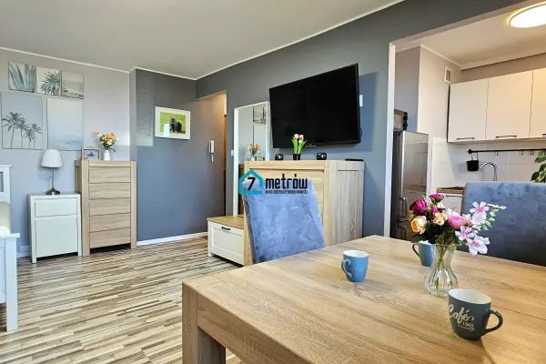 Piękne mieszkanie - centrum blisko UMK i Starówki - Zdjęcie 1