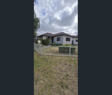 Clad House - Photo 3