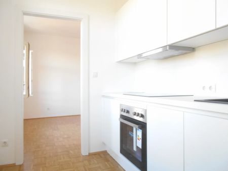 ANderMUR nahe Lendplatz großartige 2ZI+Küche - Foto 4