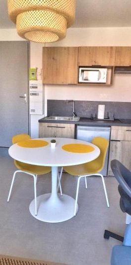 Location Appartement 1 pièce 21m² ST ETIENNE 42000 - Photo 1