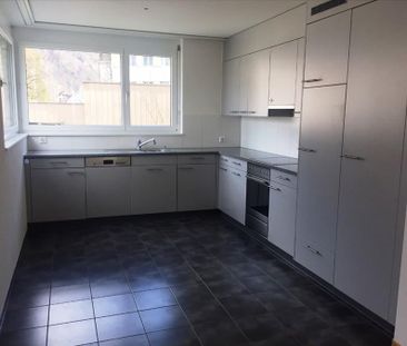 "Am Rande der Plessur" - Photo 1