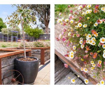 52 Tewksbury Cct, Theodore ACT 2905 - House For Rent | Domain - Photo 4