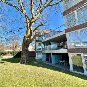 Te huur, energiezuinig 1 slaapkamer appartement met terras en kelder te Ronse - Foto 2