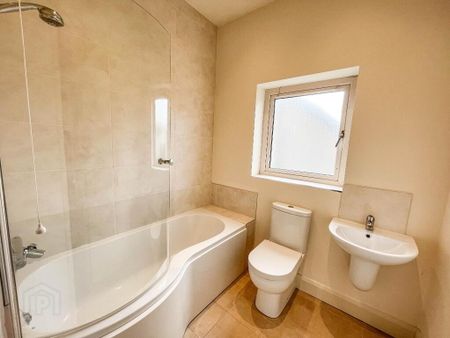 16 Alder Way, Lisburn, BT28 2SX - Photo 5