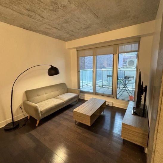 Nouveauté sur le marché Appartement à louer - Montréal (Ville-Marie) (Vieux-Montréal) - Photo 1