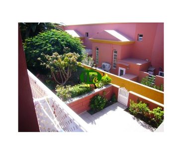 Duplex with 1 bedroom and large terrace, super quiet - Photo 5