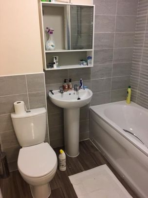 Cherry tree Dive, Coventry, White Willow - Photo 1