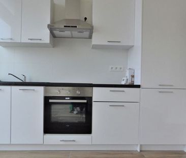 Appartement te huur in Hamme voor € 720 met 1 slaapkamer - Foto 2