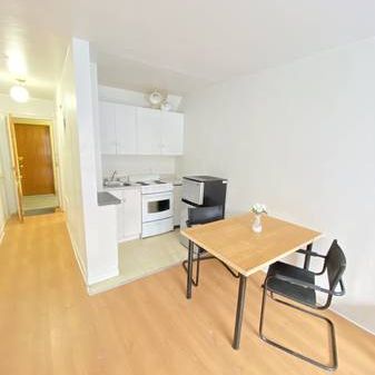 STUDIO ON PLATEAU CLOSE TO SUBWAY and McGill or Guy Concordia Universi - Photo 4