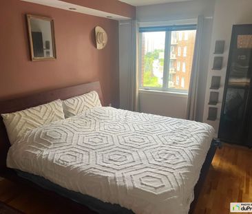 703-2110, Rue Caroline Beique, Ahuntsic / Cartierville à louer - Photo 2