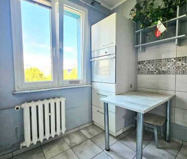 3. pokoje w centrum Polic na wynajem od zaraz! - Фото 5