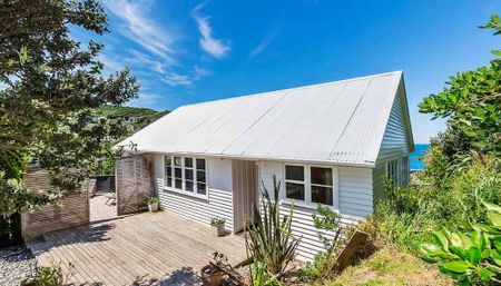 Three Bedrooms, Owhiro Bay - Photo 3