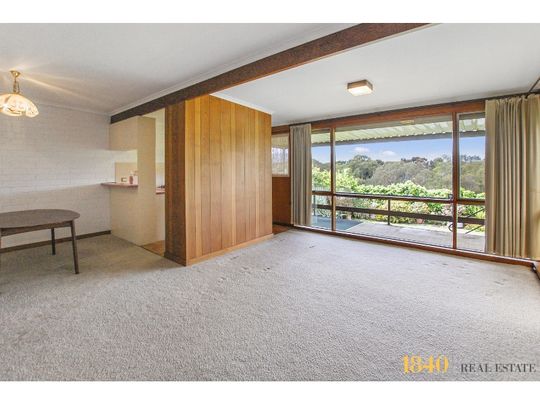 Cute & Convenient! - Photo 1