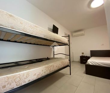 Bilocale in affitto - Foto 1