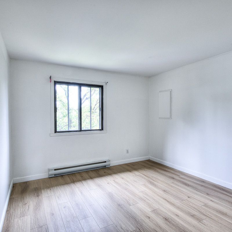11667 Rue Sainte-Catherine Est - Photo 1