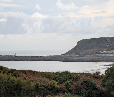 Frogs Leap, Horton, Swansea, SA3 - Photo 4