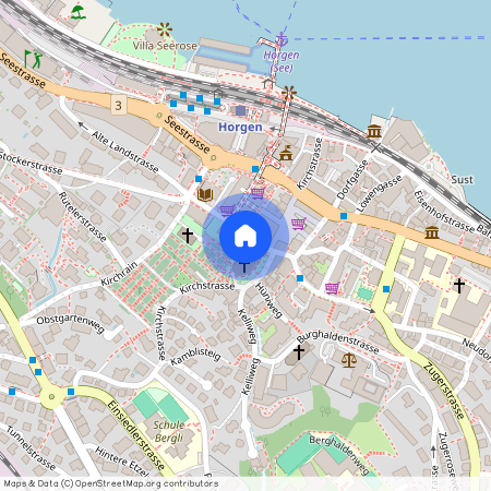 8810, Horgen, Fabrikgasse, 15