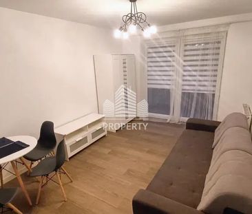 2 Pokoje | Kacze Buki - Photo 5