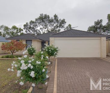 IMMACULATE 4 x 2 FAMILY HOME WITH PLENTY OF EXTRAS - Photo 2
