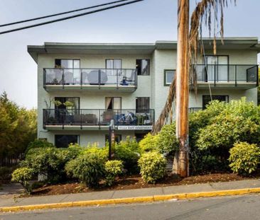 Villa Apartments — 2 Bedroom + Den available at 788-790 Dominion Ro... - Photo 6
