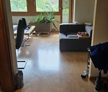 2.5 Zimmer, 53 m², 1. Stock - Photo 4