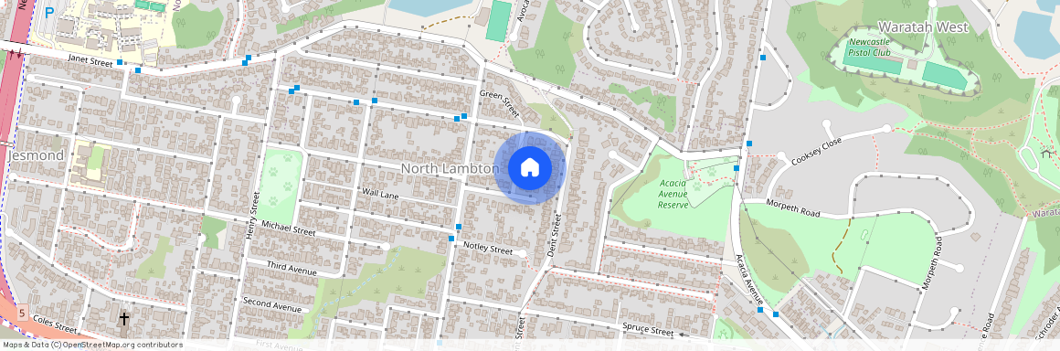 1 Green St, NSW 2299, North Lambton