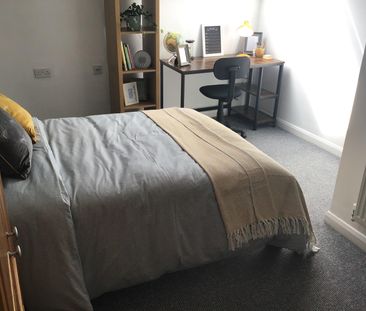 29 Macklin Street - Photo 4