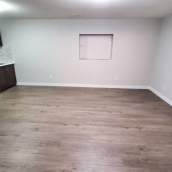 1 Bedroom Basement Suite - Photo 1