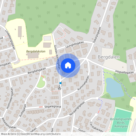 Borås, Bergdalsgatan, 28, 50458