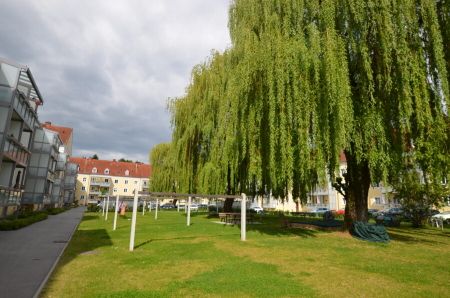 Schöne 3-Raum-Wohnung im 2. Stock mit Loggia in begehrter Lage in Urfahr **kein Lift** ** 1 Monat mietzinsfrei** - Foto 5