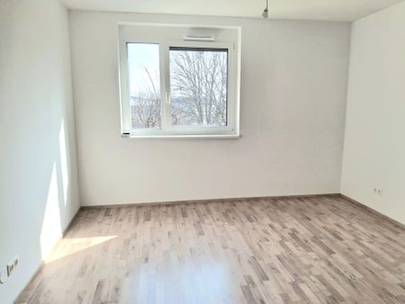 Erstbezug – Moderne 2-Zimmer-Wohnung mit lichtdurchfluteten Räumen - Foto 2