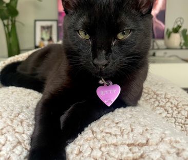 Port Melbourne - Photo 3