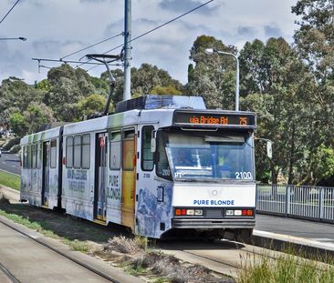 Three bedroom weatherboard home - Photo 2