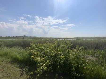 Zeeland, Buitengebied - Photo 3