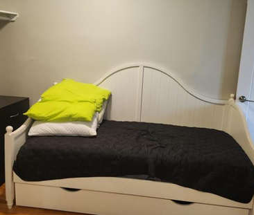 103 Waverley Street apartment — Ottawa, ON (1-Bedroom) - 1 Bedroom - Photo 5