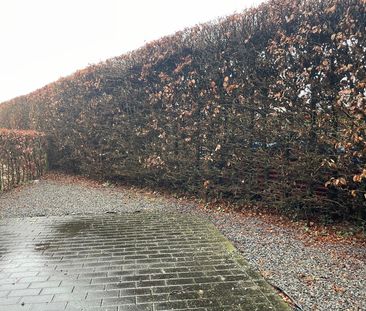 Gelijkvloers appartement met 1 slaapkamer en terras - Foto 3