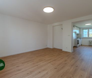 Pronájem bytu 2+1 57 m² - Photo 4