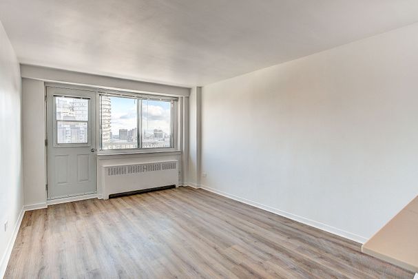 Brand New Renovated Apartments in heart of Downtown / McGill Ghetto - Photo 1