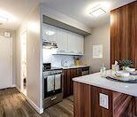 Plateau Mont-Royal - Photo 3