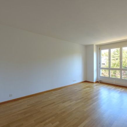 3.5 Zimmer, 66 m², 1. Stock - Foto 1