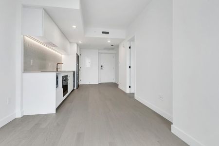 1210 Rue Jeanne-Mance, app.3017, H2X 1M1, H2X 1M1, Montréal - Photo 2